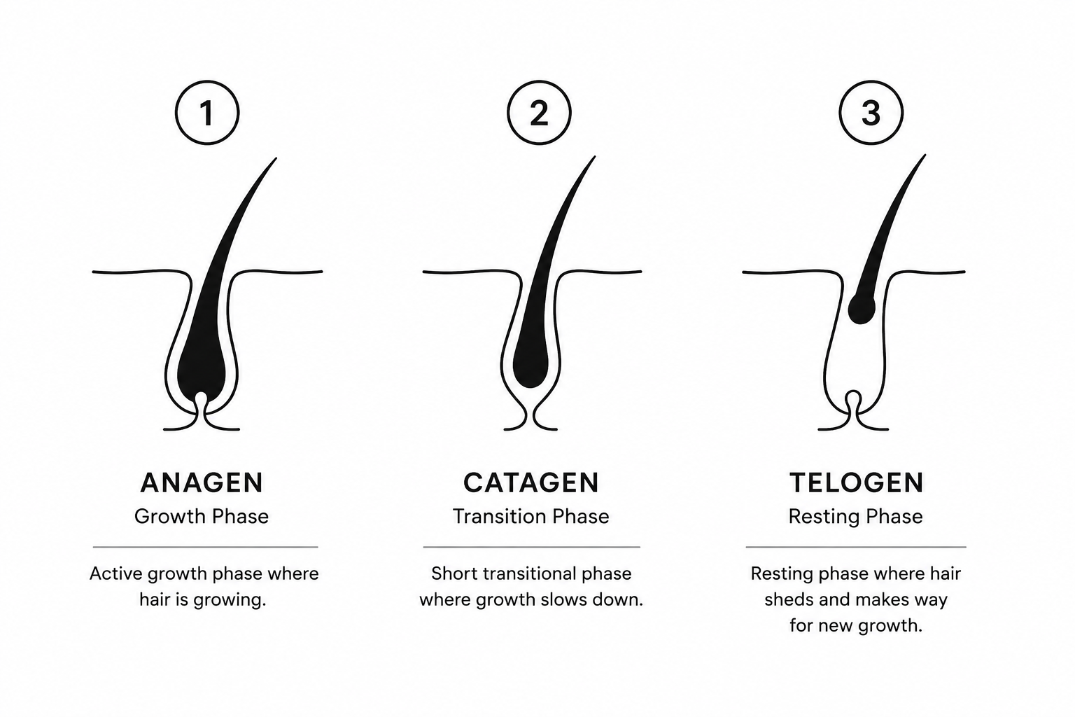 Healthy Hair Growth Starts with a Healthy Scalp — Not Just One Ingredien